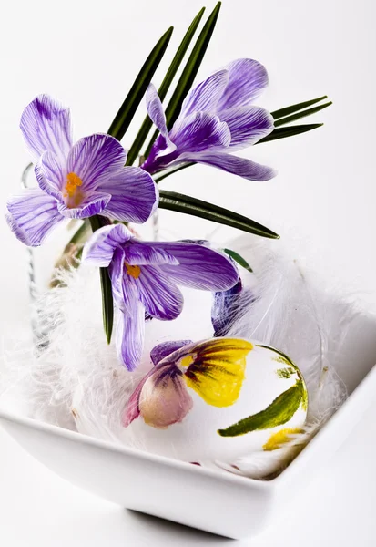 Painted eggs and crocus on Easter — Stock Photo, Image