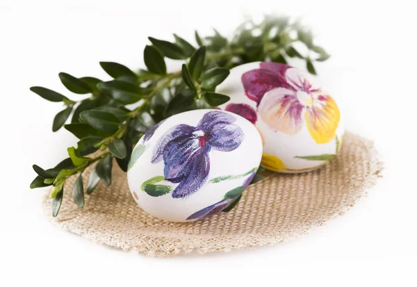 Beschilderde eieren en buxus op Pasen — Stockfoto