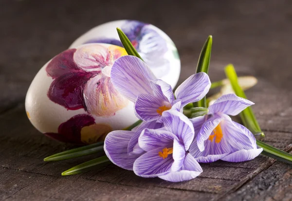 ไข่ทาสีและ crocus ในวันอีสเตอร์ — ภาพถ่ายสต็อก