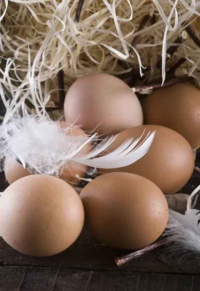 Huevos frescos en Pascua —  Fotos de Stock