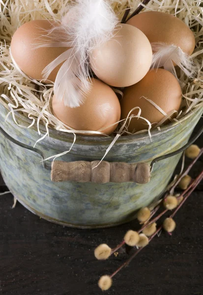 Čerstvá vajíčka na Velikonoce — Stock fotografie