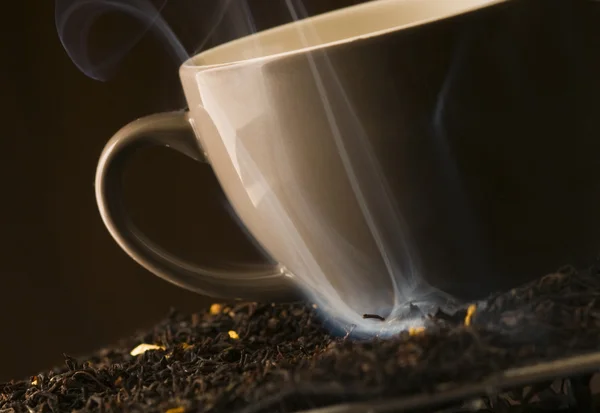 Teeblätter mit der Tasse — Stockfoto