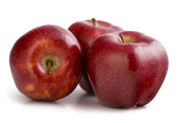 stock image Apples on the white background