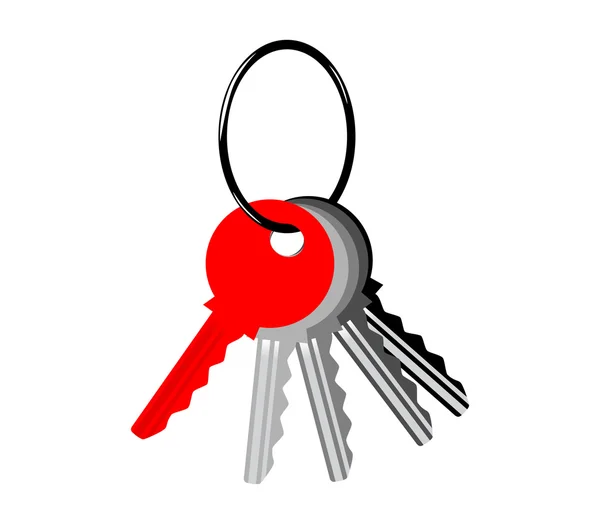Keys on white background — Stock Vector