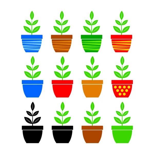 Collection of plants — Stock Vector