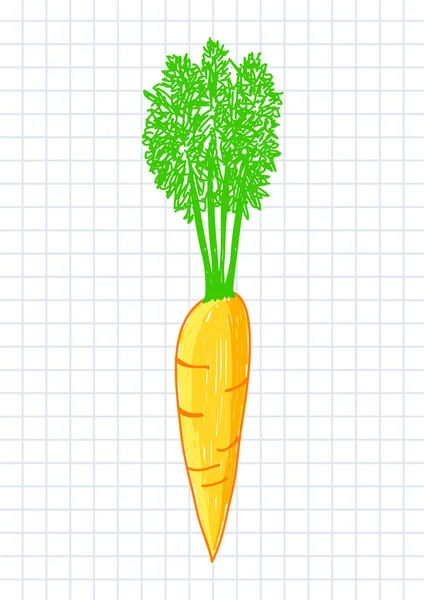 Drawing of carrot — Stock Vector