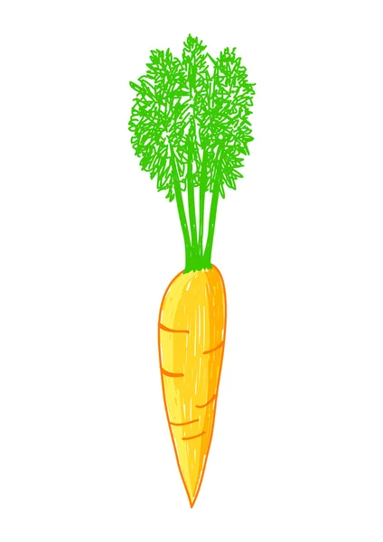 Dibujo de zanahoria — Vector de stock