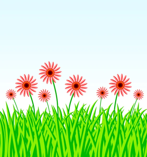 Sommerwiese mit roten Blumen — Stockvektor