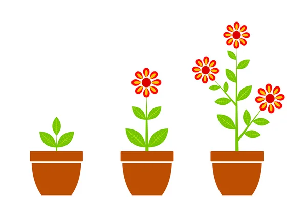 Fleur rouge en pot de fleurs — Image vectorielle