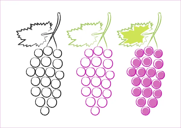 Icônes de raisin sur fond blanc — Image vectorielle