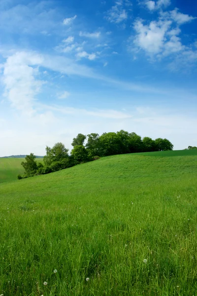 Frühlingslandschaft — Stockfoto