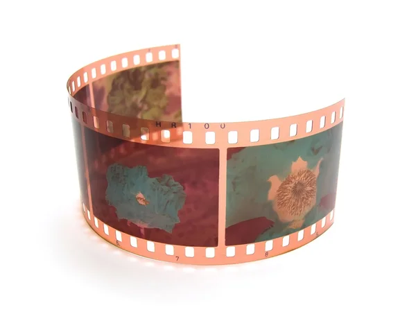 Color negative film — Stock Photo, Image