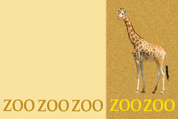 Zoological background — Stock Photo, Image