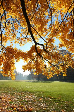 sonbahar doğanaturaleza otoño