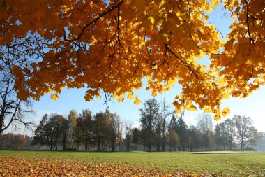 sonbahar doğanaturaleza otoño