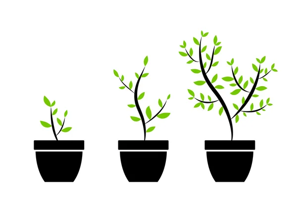 Иконы растений — стоковый вектор