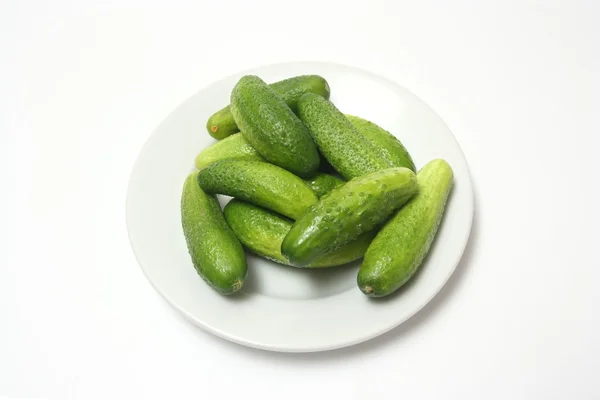 Cucumbers on white plate — Stock Photo, Image