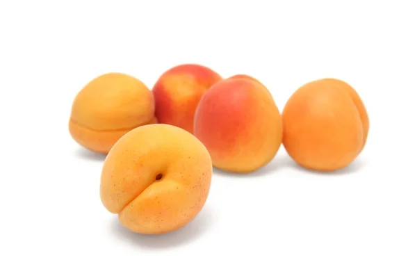 Close-up of ripe apricots — Stock Photo, Image