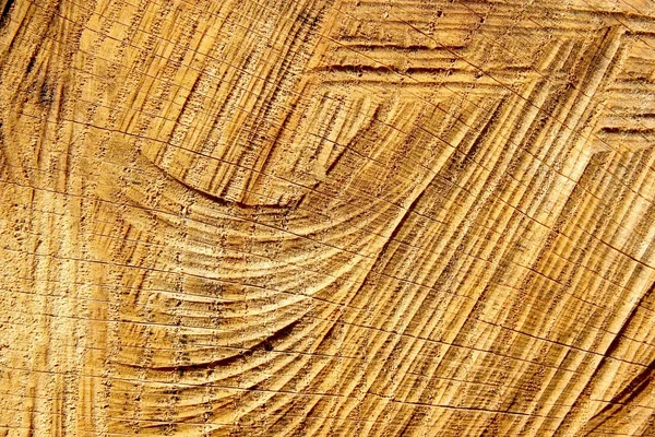 Abstraction en bois — Photo
