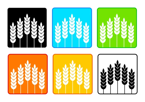 Icone del grano — Vettoriale Stock