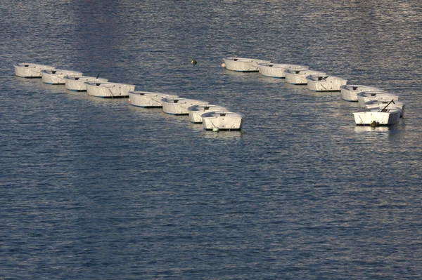 Две колонны белых лодок — стоковое фото