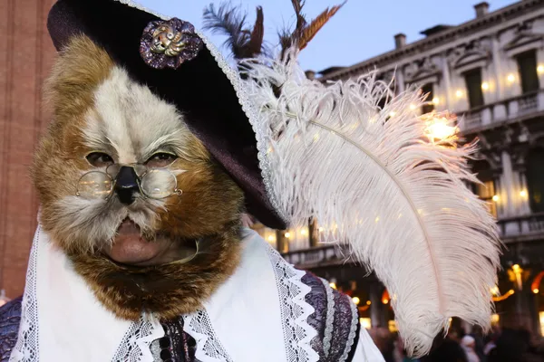 Un hombre enmascarado, vestido de Gato con Botas —  Fotos de Stock