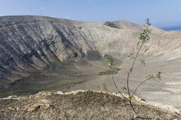Caldera Blanca, volcanic crater. — Stock Photo, Image