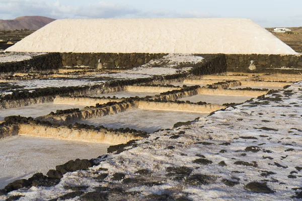 Большая куча соли в естественной широкой области . — стоковое фото
