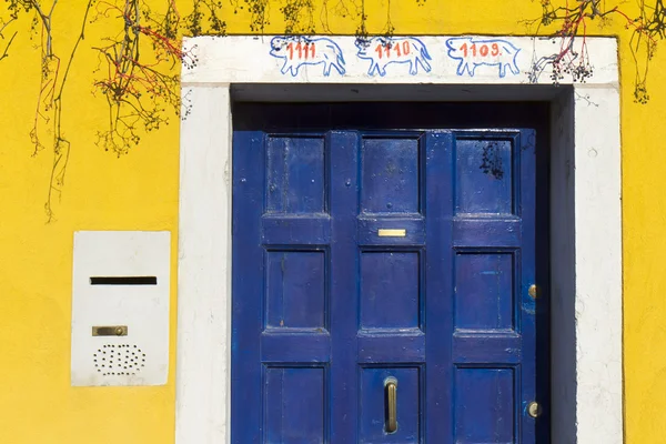 Mavi bir kapı ve sarı bir duvara yakın çekim — Stok fotoğraf
