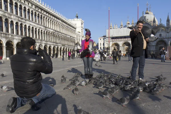 Turyści są zabawy z gołębi — Zdjęcie stockowe