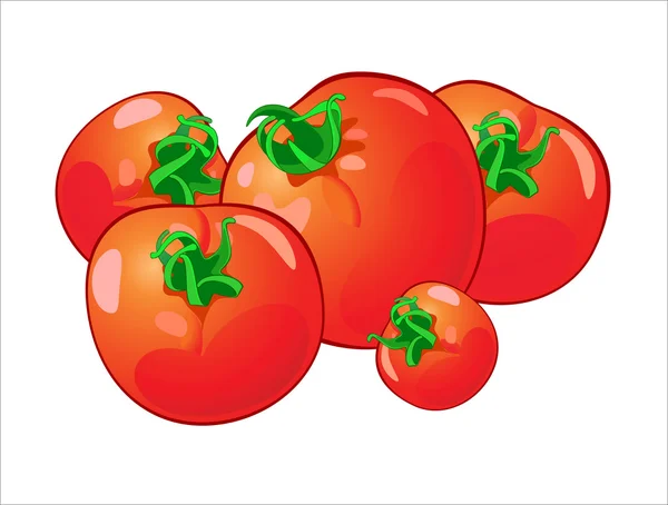 Ilustração vetorial de tomates —  Vetores de Stock