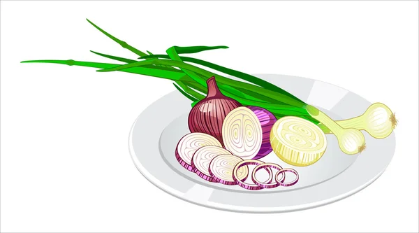 Onion on the plate — Stock Vector