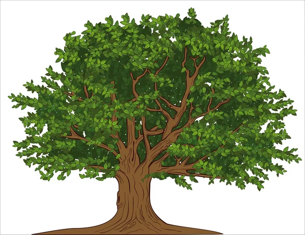 Grand arbre — Image vectorielle