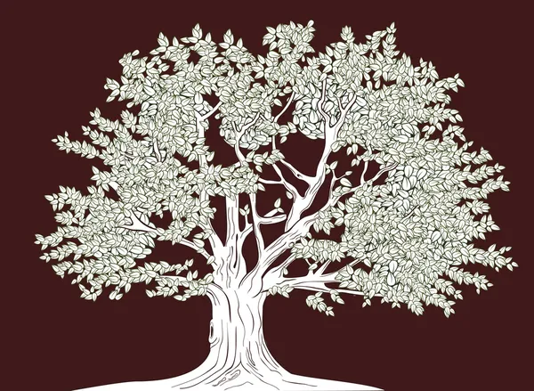 Big tree vector graphical drawing — Stock Vector