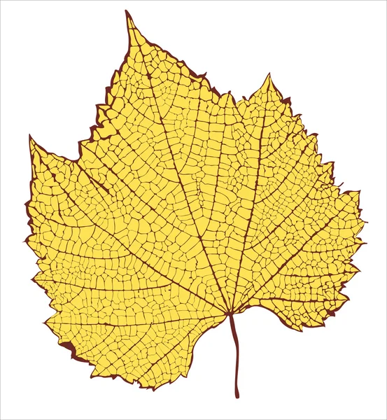 Desen grafic al structurii frunzelor — Vector de stoc