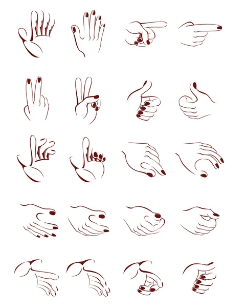 stock vector Stylized vector drawing of different hand position