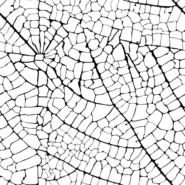 Vector de las venas de la hoja textura sin costura — Archivo Imágenes Vectoriales
