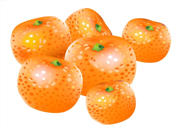 Vetor mandarina — Vetor de Stock