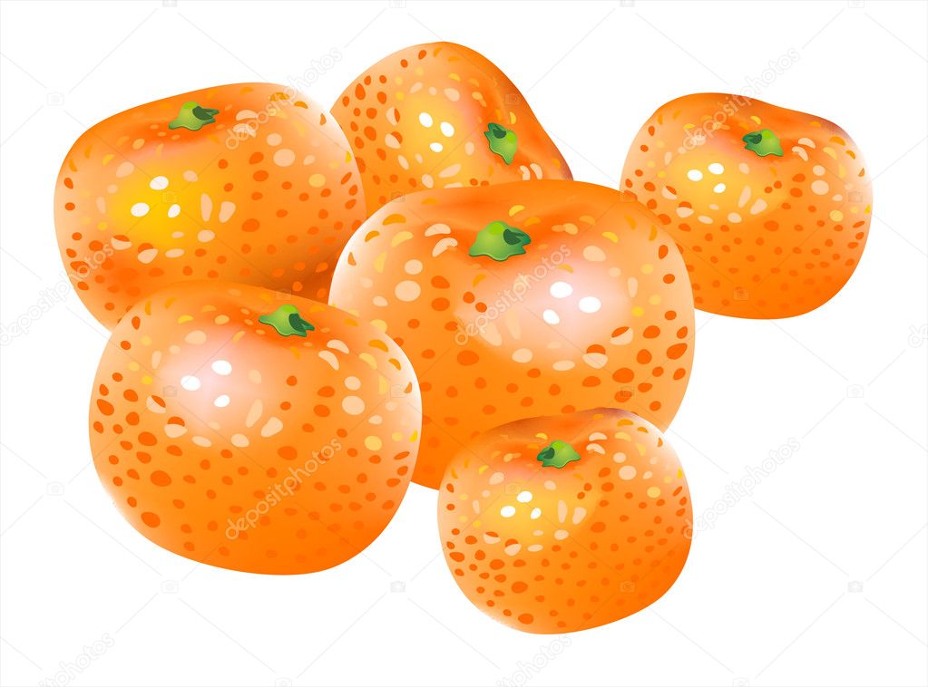 Vector mandarin