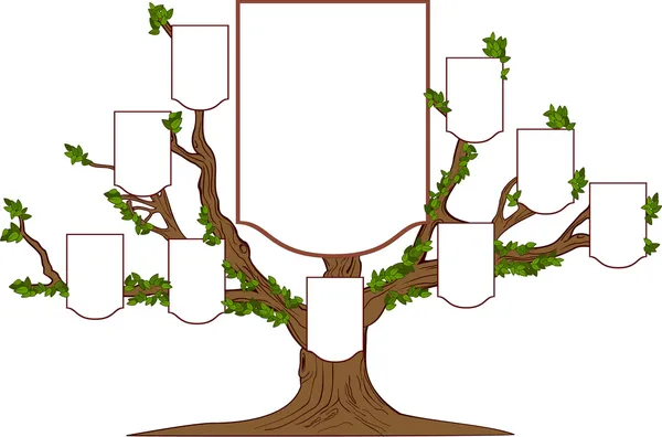 ต้นไม้ครอบครัว — ภาพเวกเตอร์สต็อก