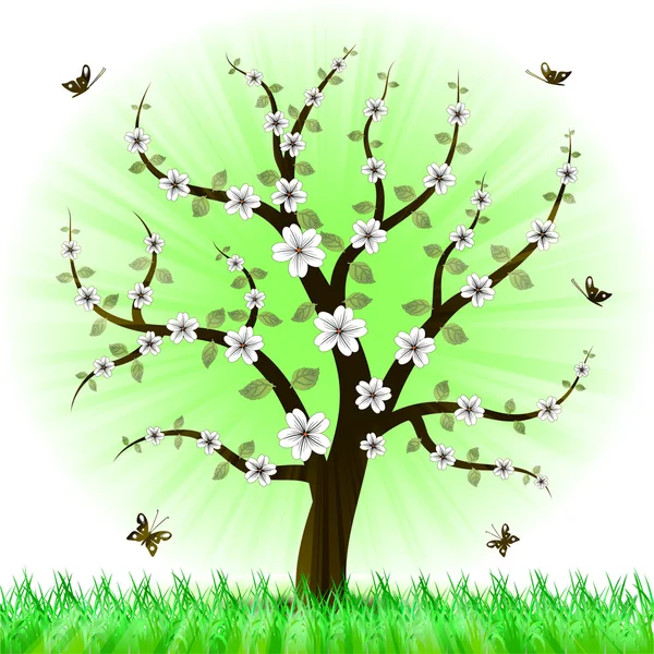 Bellissimo albero floreale primavera — Vettoriale Stock