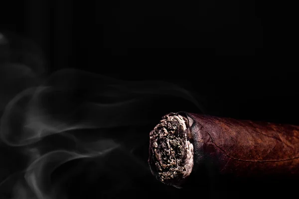 Gran cigarro marrón con ceniza y humo — Foto de Stock