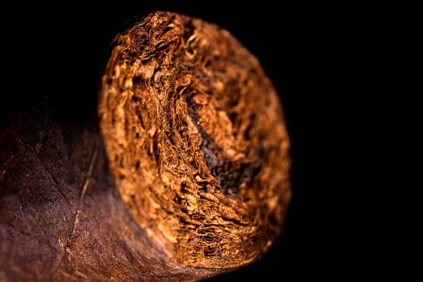 Hojas de tabaco retorcidas en un cigarro —  Fotos de Stock