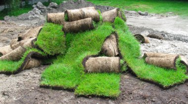 Grass on a roll clipart