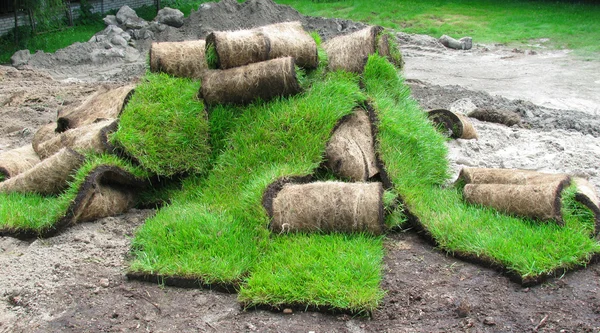 stock image Grass on a roll