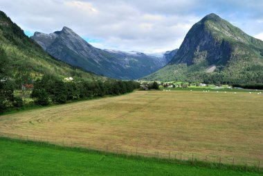 çarpıcı Norveç peyzaj