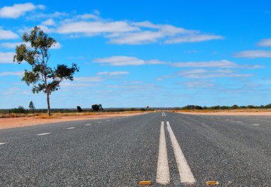 Çölde uzun bir yol