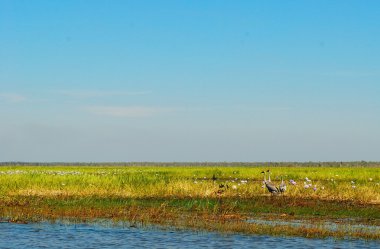 Kakadu Ulusal Parkı