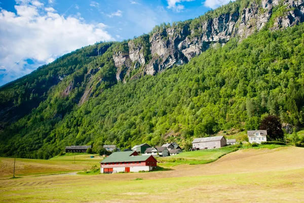 stock image Norwegian landscape