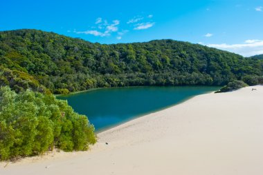 Fraser Island, Queensland, Australia clipart